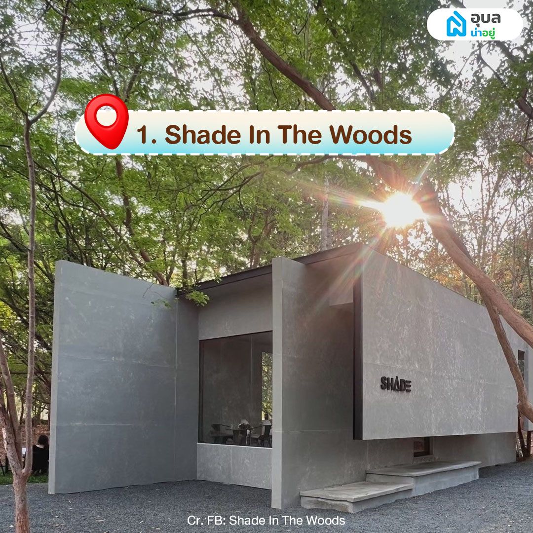 Shade In The Woods