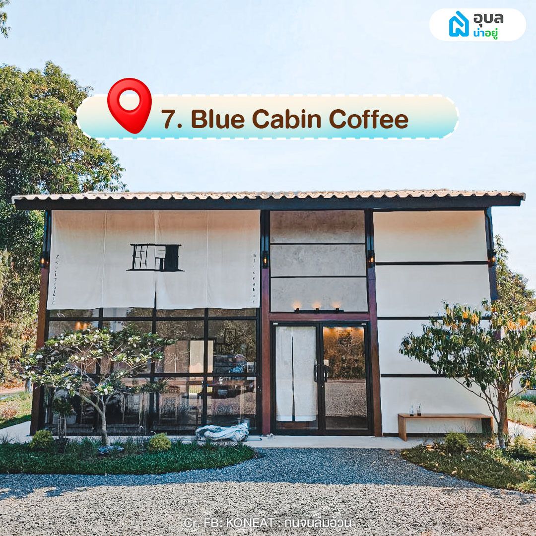 Blue Cabin Coffee 